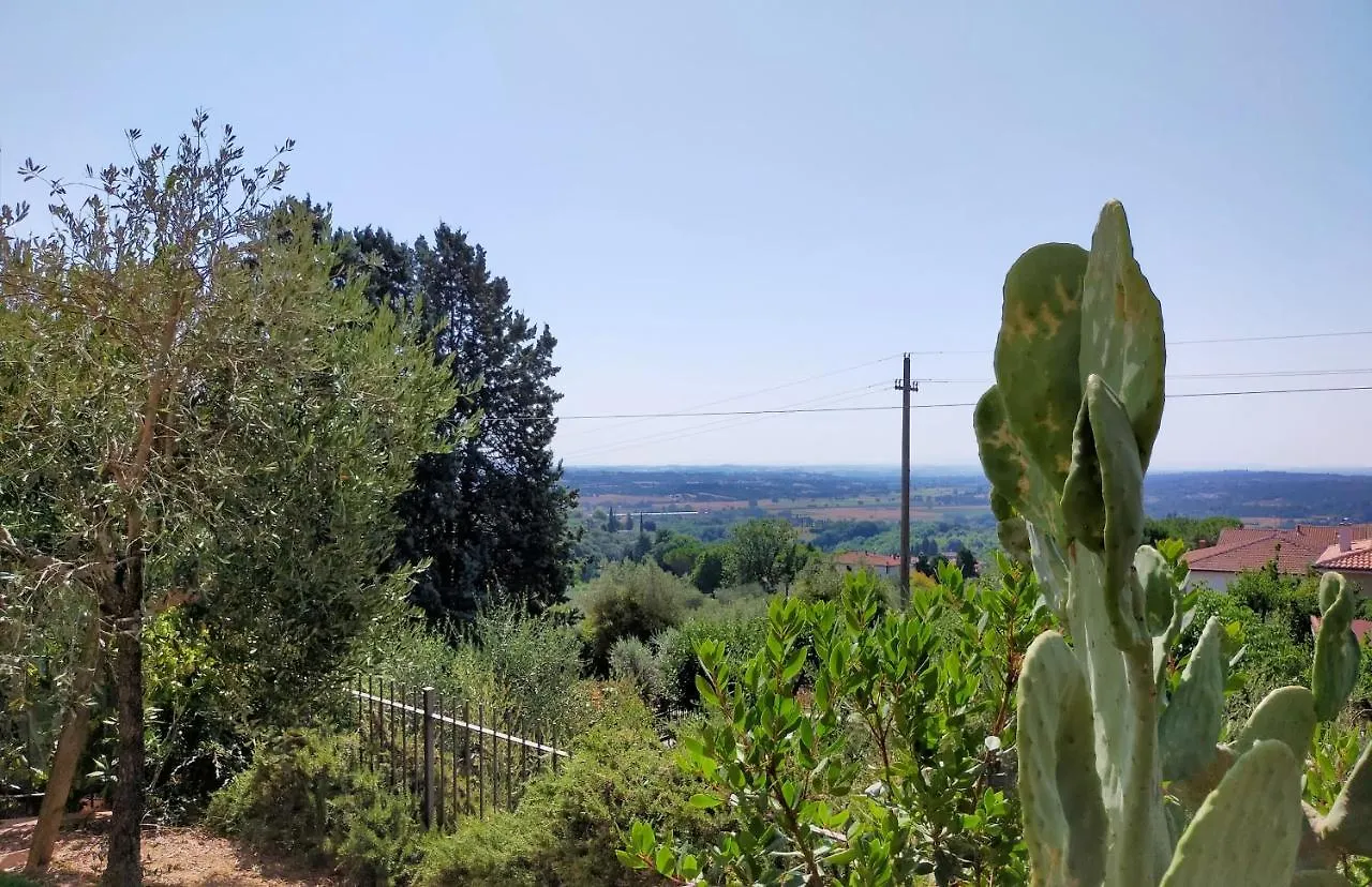 L'Olivo Appartamento Turistico Lucignano Italy